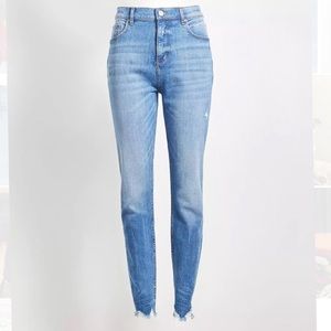 Loft Curvy Jeans.